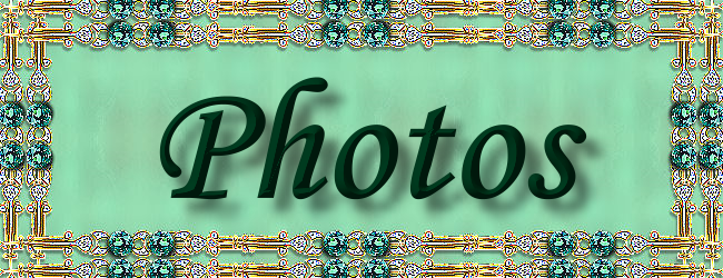 GraphicsByLiz_IndexHeader